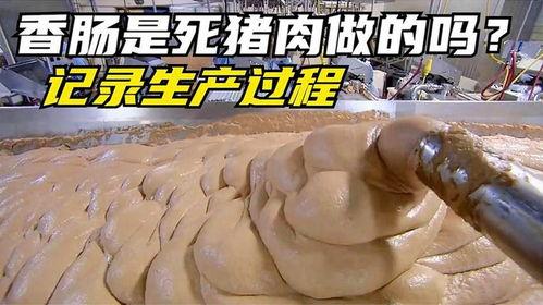火腿制作过程爆料视频大全,视频大全带你走进美味诞生之旅  第3张 火腿制作过程爆料视频大全,视频大全带你走进美味诞生之旅  第3张