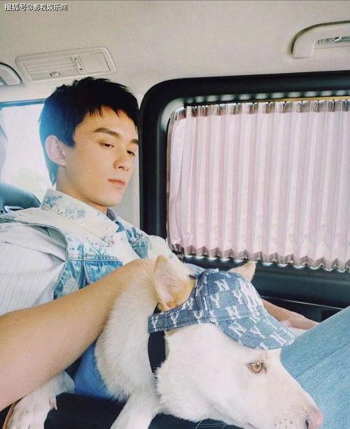 情感爆料娱乐视频,娱乐视频中的喜怒哀乐瞬间  第1张 情感爆料娱乐视频,娱乐视频中的喜怒哀乐瞬间  第1张