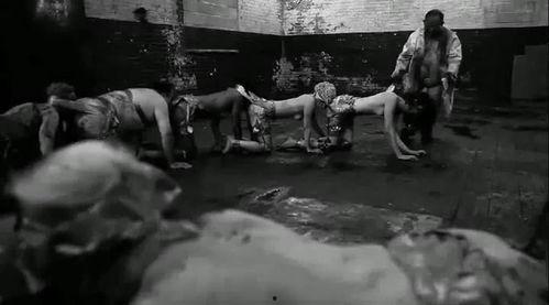 人体蜈蚣在线观看手机,惊悚悬疑,揭秘人体极限的恐怖之旅  第3张 人体蜈蚣在线观看手机,惊悚悬疑,揭秘人体极限的恐怖之旅  第3张