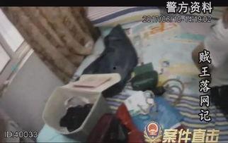 贼王最新爆料视频播放,最新爆料视频深度解析  第2张 贼王最新爆料视频播放,最新爆料视频深度解析  第2张