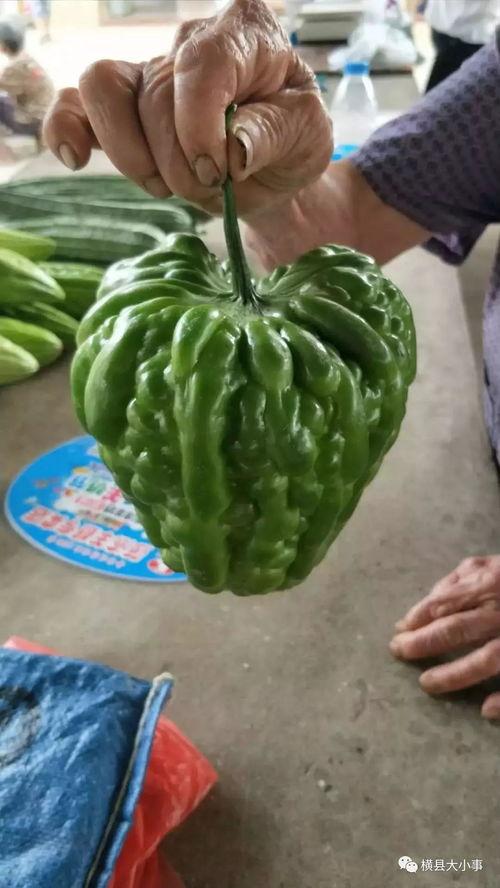 临沂最新瓜爆料,揭秘临沂最新热点事件内幕  第3张 临沂最新瓜爆料,揭秘临沂最新热点事件内幕  第3张