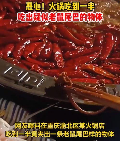 网友爆料火锅店事件视频,网友爆料视频揭露惊人一幕  第1张 网友爆料火锅店事件视频,网友爆料视频揭露惊人一幕  第1张