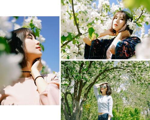 风中的花瓣在线观看,浪漫邂逅,命运交织的青春旋律  第2张 风中的花瓣在线观看,浪漫邂逅,命运交织的青春旋律  第2张