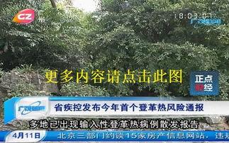 广州电视台新闻爆料直播,最新事件现场直击  第3张 广州电视台新闻爆料直播,最新事件现场直击  第3张