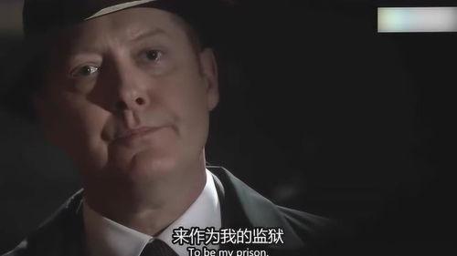 黑名单第四季在线观看,揭秘暗网风云,追踪网络犯罪黑手  第3张 黑名单第四季在线观看,揭秘暗网风云,追踪网络犯罪黑手  第3张