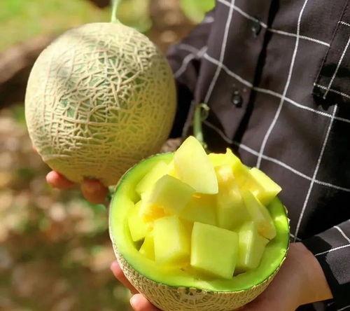 娱乐圈可以吃的大瓜,揭秘明星背后的惊人真相  第2张 娱乐圈可以吃的大瓜,揭秘明星背后的惊人真相  第2张