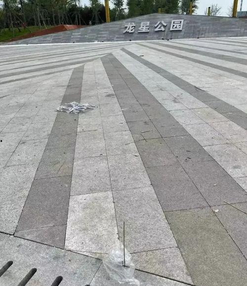 邢台沙河最新爆料,揭秘城市变迁与发展新动向  第2张 邢台沙河最新爆料,揭秘城市变迁与发展新动向  第2张