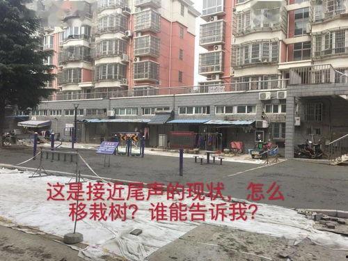 广州小区问题爆料最新,物业管理乱象频发,居民生活陷入困境  第2张 广州小区问题爆料最新,物业管理乱象频发,居民生活陷入困境  第2张