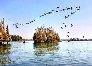 黄石东湖最新爆料,探寻自然与人文交融的生态奇迹”  第3张 黄石东湖最新爆料,探寻自然与人文交融的生态奇迹”  第3张