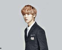 鹿晗反面爆料视频合集在线观看,反面爆料视频合集深度解析  第1张 鹿晗反面爆料视频合集在线观看,反面爆料视频合集深度解析  第1张