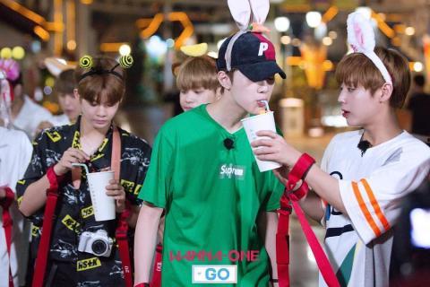 wannaone go在线观看,独家在线观看,揭秘偶像成长之路