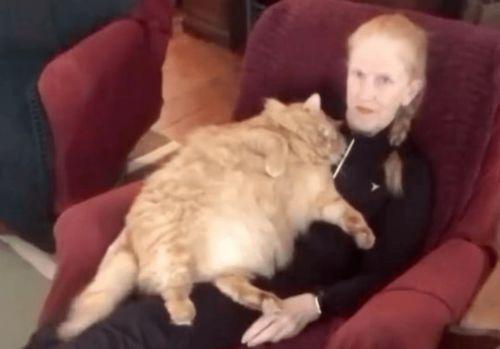 肥猫最新爆料视频,揭秘娱乐圈惊人内幕!