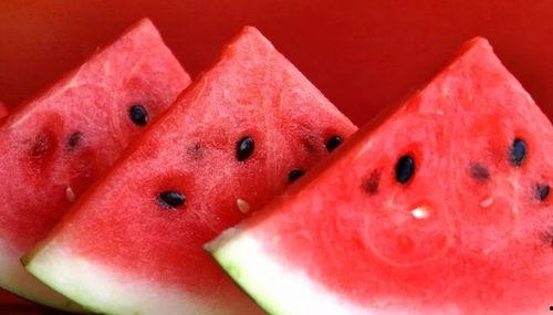 西瓜爆料网红炒作视频,网红炒作视频揭秘,真相令人咋舌