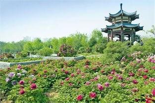 洛阳植物园爆料视频播放  第2张 洛阳植物园爆料视频播放  第2张