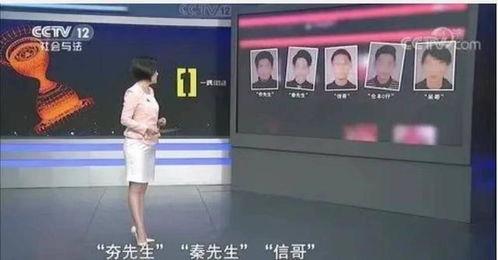 文轩被抓爆料视频,揭秘背后真相与网络热议  第3张 文轩被抓爆料视频,揭秘背后真相与网络热议  第3张