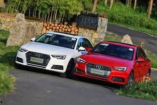 奥迪a4l最新爆料视频,前瞻科技与动感设计一网打尽  第3张 奥迪a4l最新爆料视频,前瞻科技与动感设计一网打尽  第3张