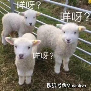 小羊新外观爆料视频,视频爆料带你领略全新风采  第3张 小羊新外观爆料视频,视频爆料带你领略全新风采  第3张