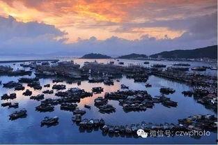 阳江闸坡新闻爆料,揭秘当地最新动态与热点事件  第3张 阳江闸坡新闻爆料,揭秘当地最新动态与热点事件  第3张