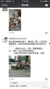 今日郑州最新爆料,揭秘城市热点事件背后的真相  第3张 今日郑州最新爆料,揭秘城市热点事件背后的真相  第3张