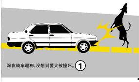 湛江最新爆料撞车,惊心动魄的撞车现场!  第2张 湛江最新爆料撞车,惊心动魄的撞车现场!  第2张