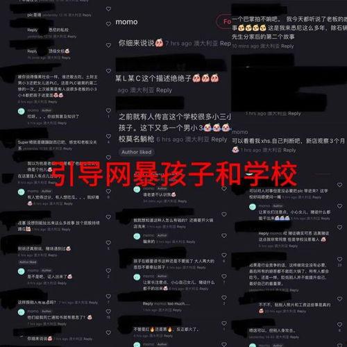 爆料华裔兄弟视频播放网站,热门爆料背后的故事  第3张 爆料华裔兄弟视频播放网站,热门爆料背后的故事  第3张