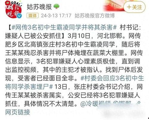 邯郸事件大爆料最新消息,揭秘背后惊人真相  第2张 邯郸事件大爆料最新消息,揭秘背后惊人真相  第2张